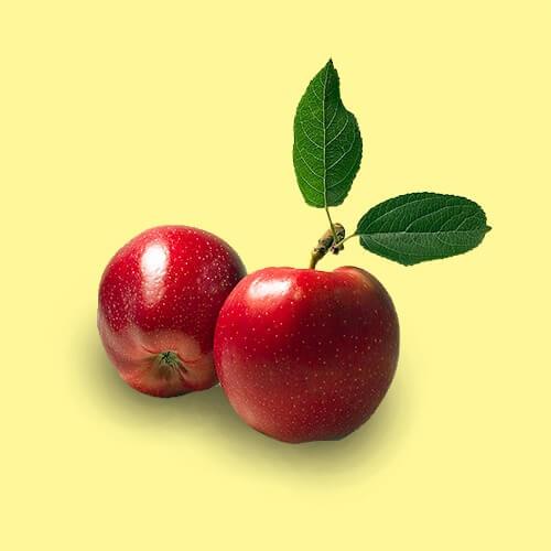 img-ingredient