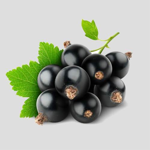 img-ingredient